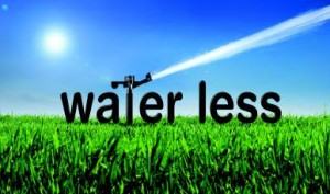 water-your-lawn-less